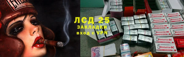 сатива Инсар