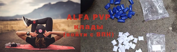сатива Инсар