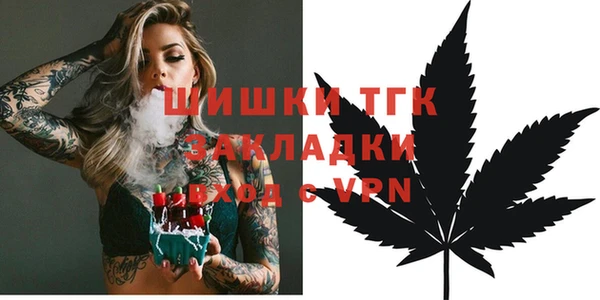 сатива Инсар