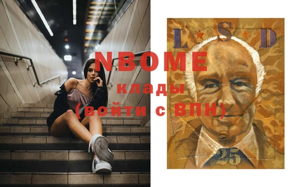 прущие грибы Россошь