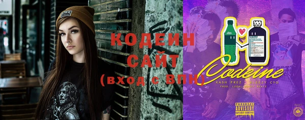 сатива Инсар