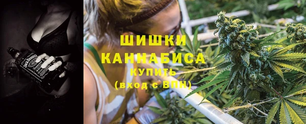 сатива Инсар