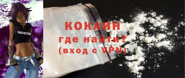 сатива Инсар