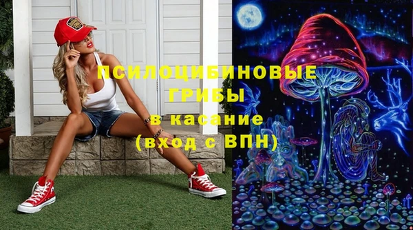 сатива Инсар