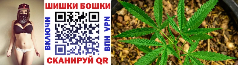 Купить закладки Гусев Шишки марихуана VHQ